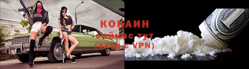 МЕГА ССЫЛКА  Каменск-Уральский  Cocaine Эквадор  купить  