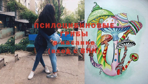 ПСИЛОЦИБИНОВЫЕ ГРИБЫ Остров