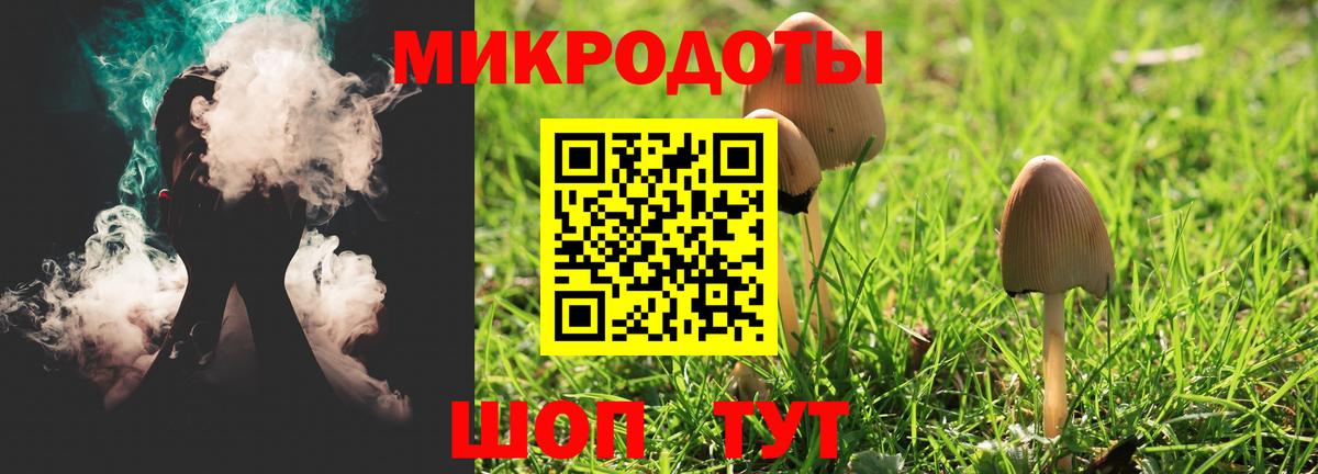 Галлюциногенные грибы Psilocybe  Псилоцибиновые грибы ЛСД  Каменск-Уральский 